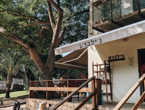 סיור היסטורי נעני16