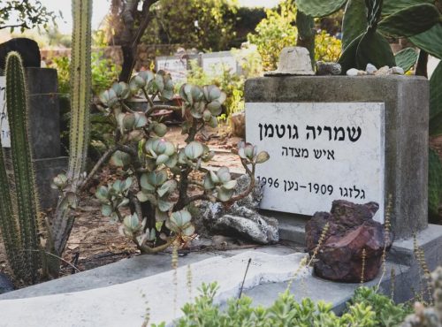 סיור רקע בשדות נען