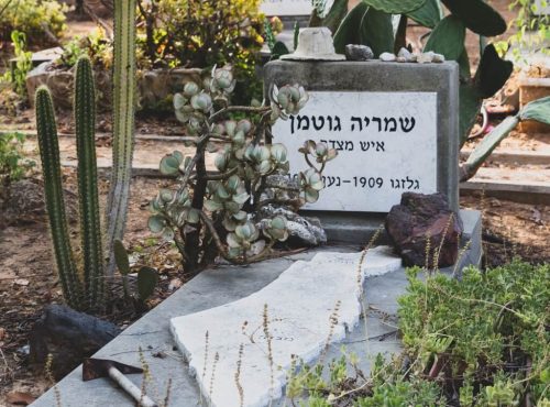 סיור רקע בשדות נען