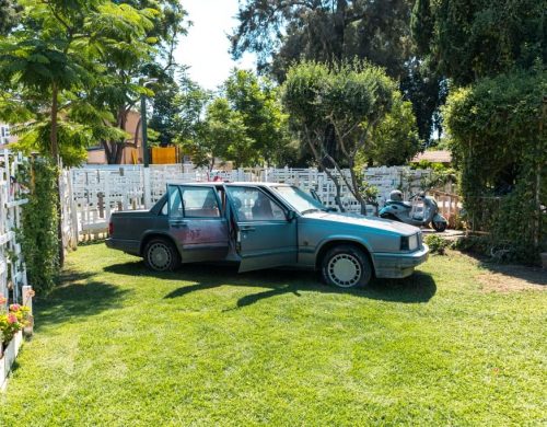 שי שניידרמן - יוצר טקסטיל, מעצב, אורג וסורג
